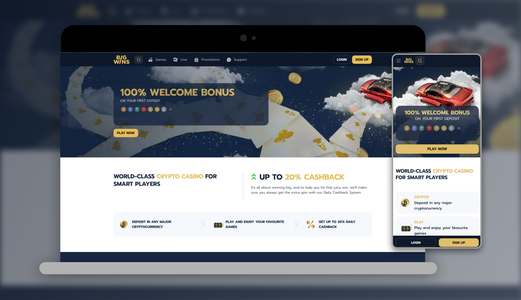 BigWins Casino: Player Rankings & Our Verdict